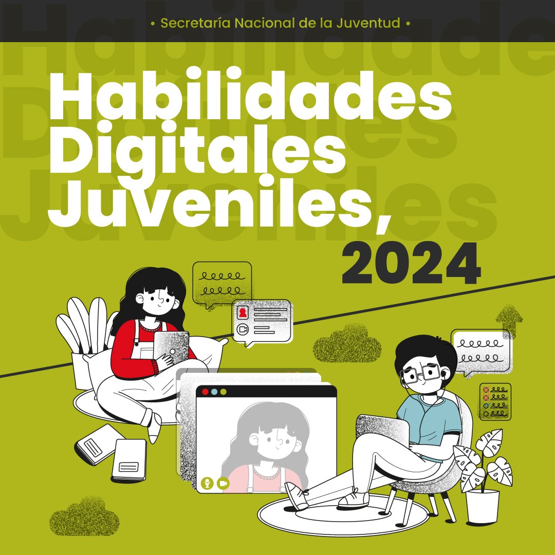 Habilidades Digitales Juveniles, 2024