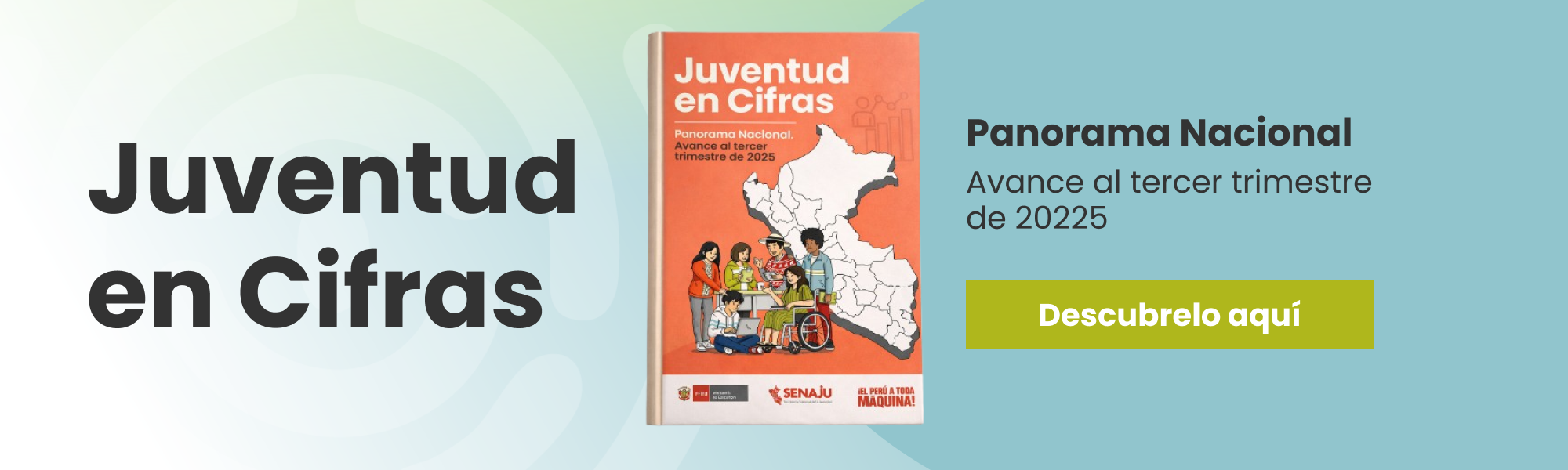 juventud en cifras