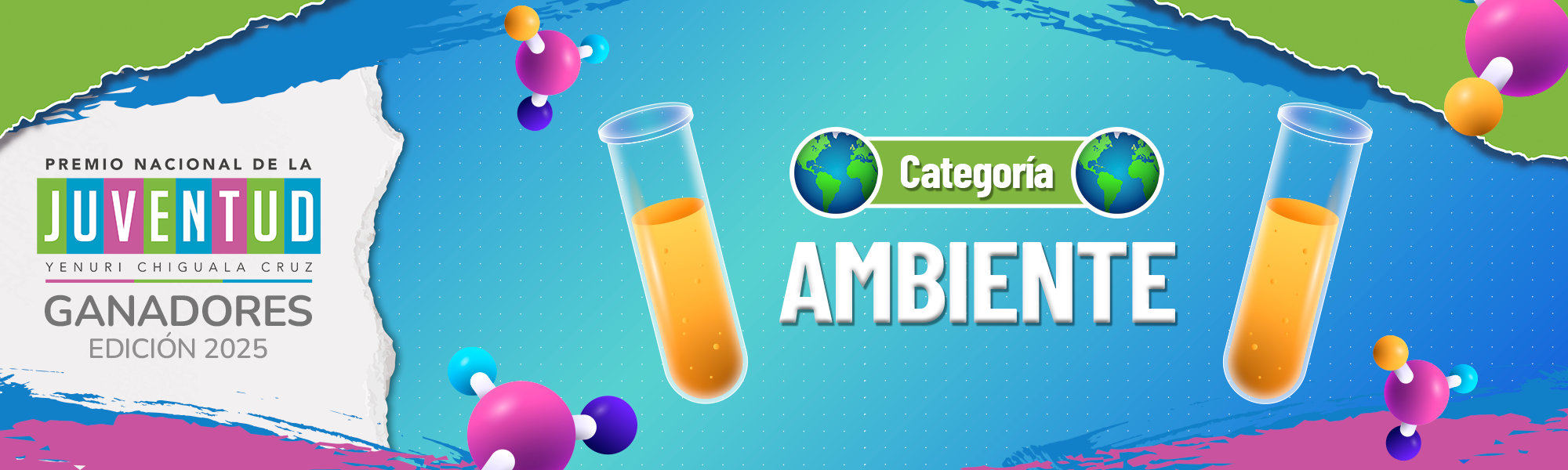 CATEGORÍA AMBIENTE
