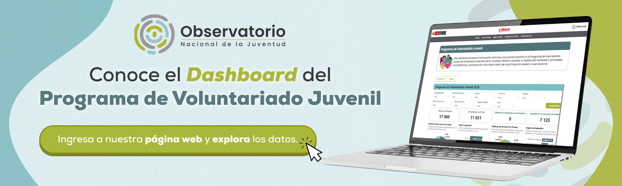 Voluntariado