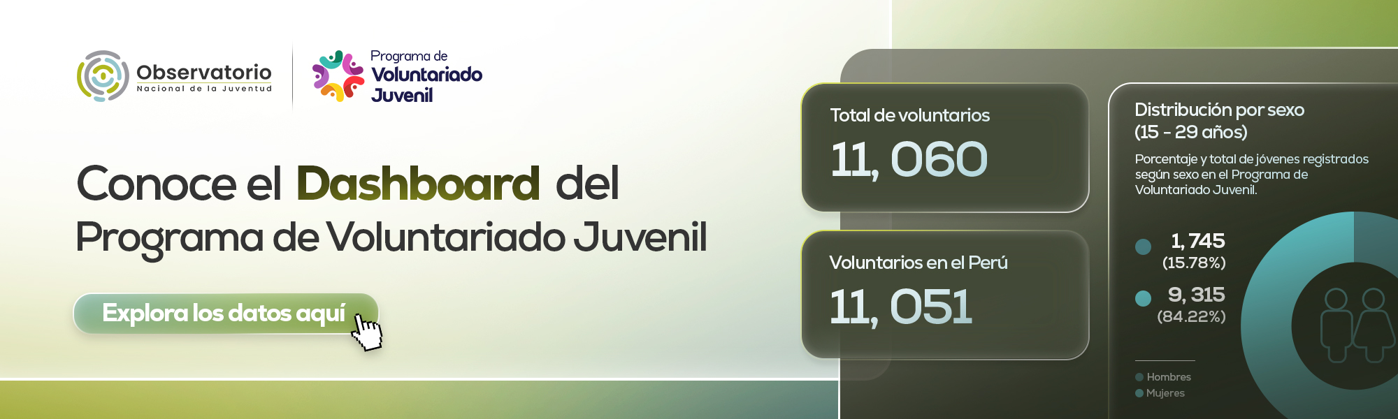 Voluntariado